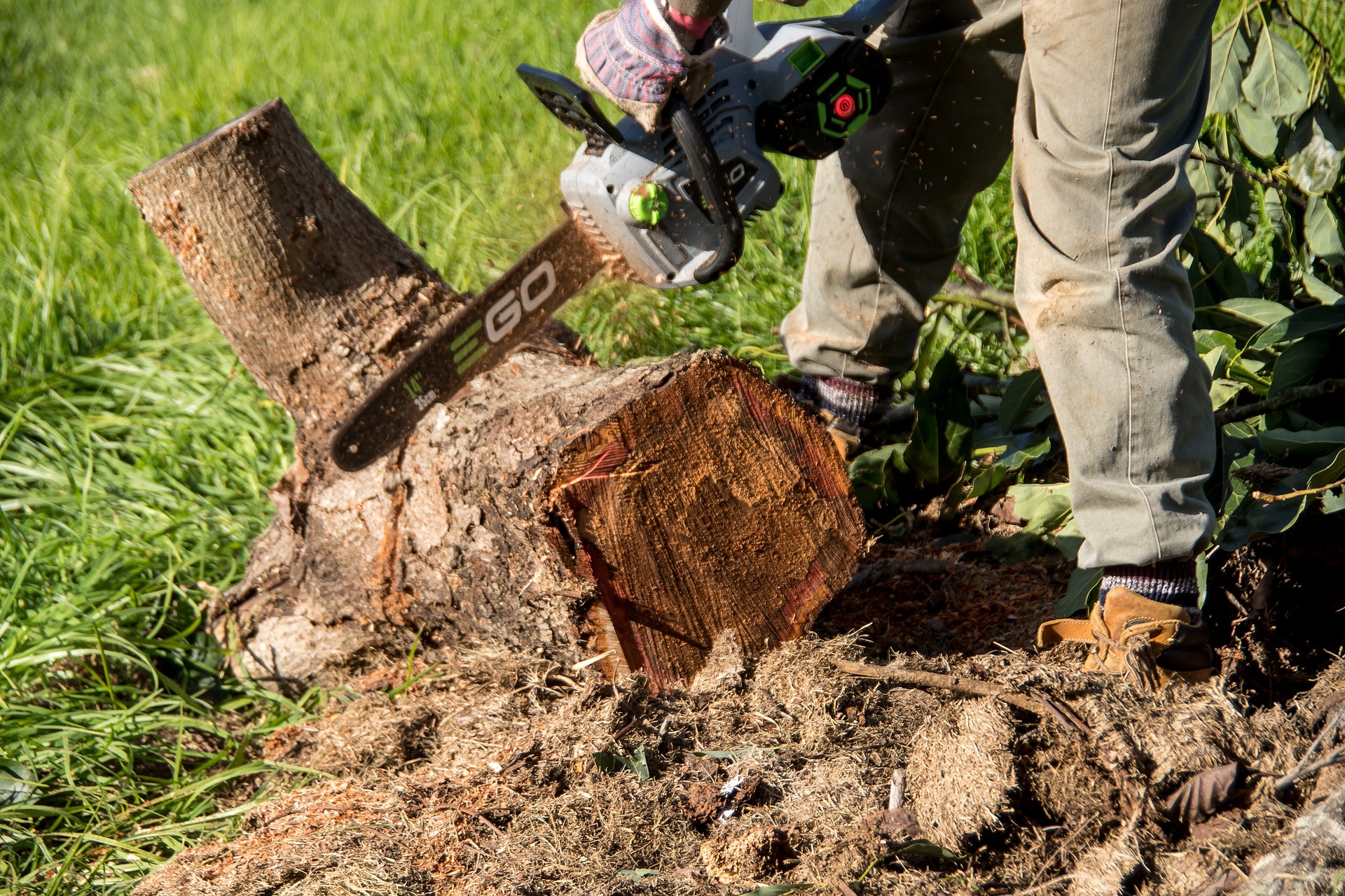 Image représentant l'activité suivante : Spécialiste en abattage d'arbres