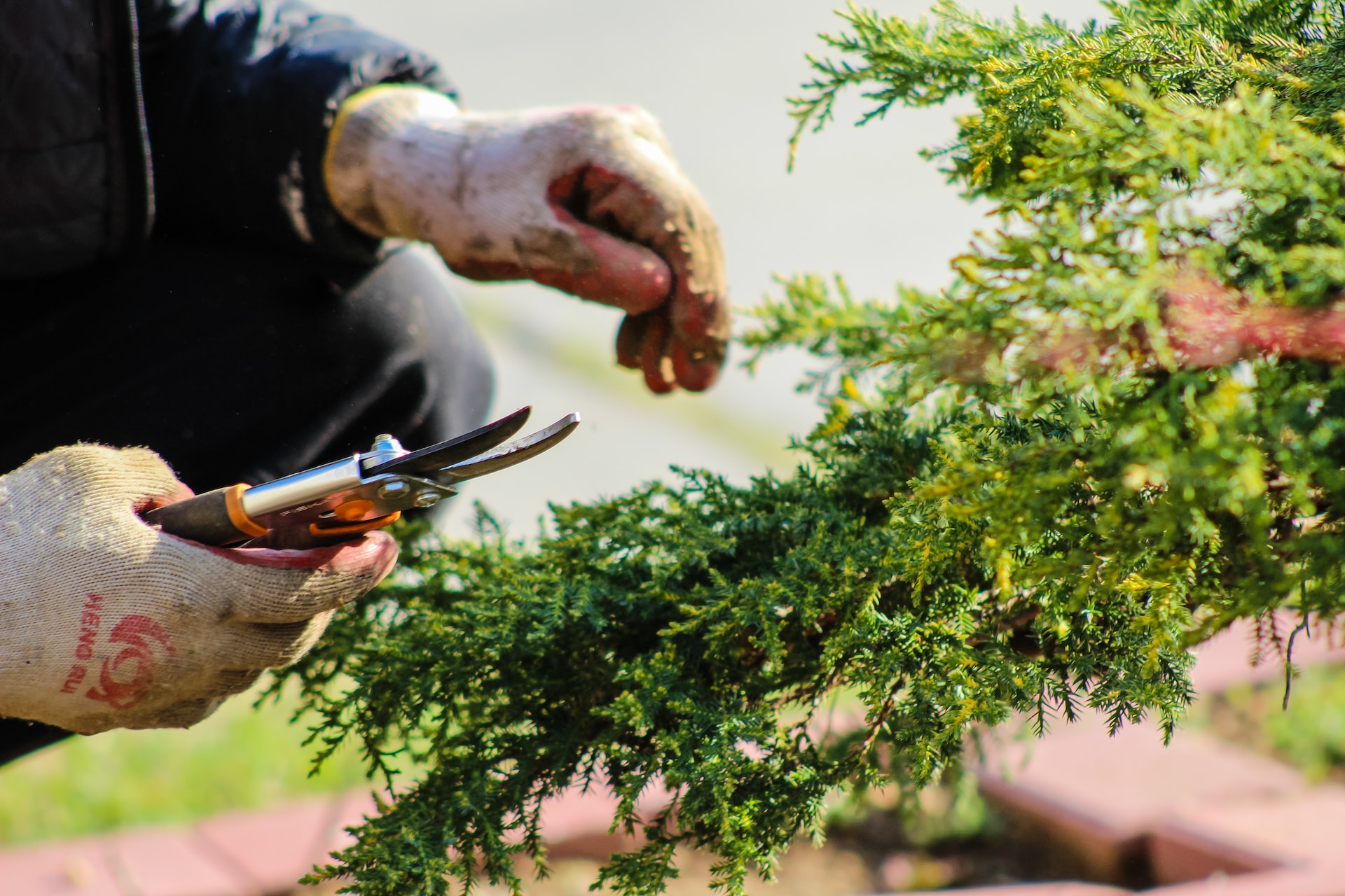 Image représentant l'activité suivante : Artisan jardinier