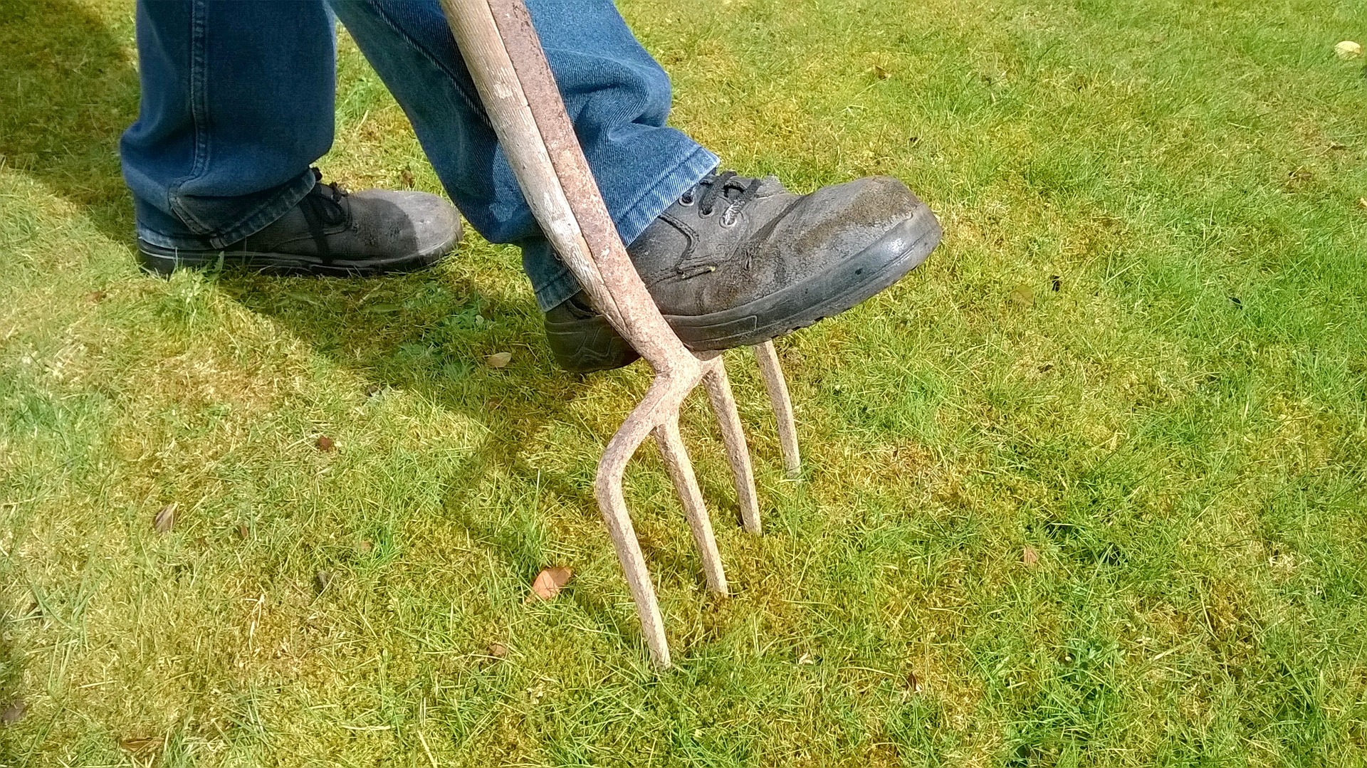 Image représentant l'activité suivante : Spécialiste en pose de gazon en rouleau